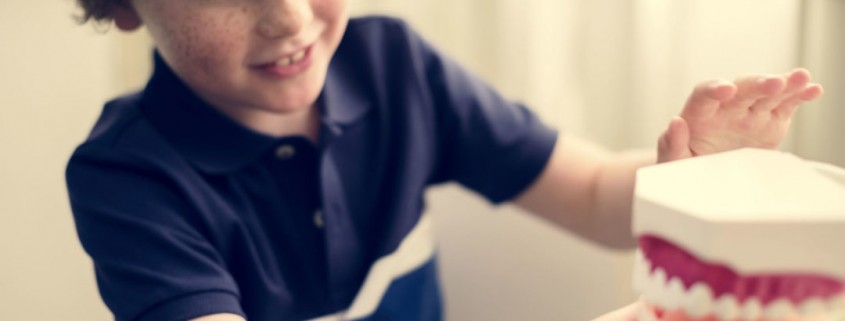 p-s-dr-a-f-1900-1080x675